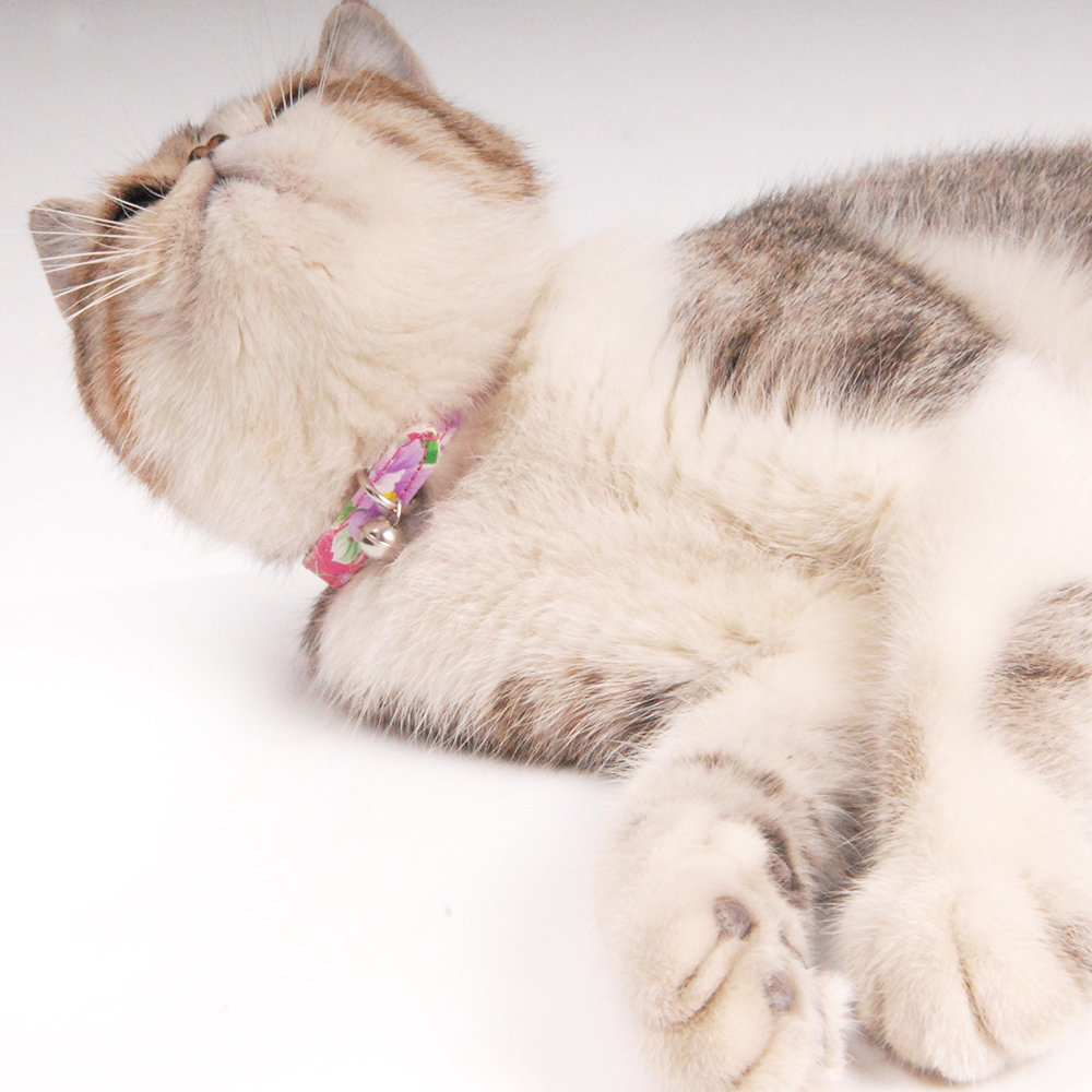 Cute Cat Collar With Bells And Bows