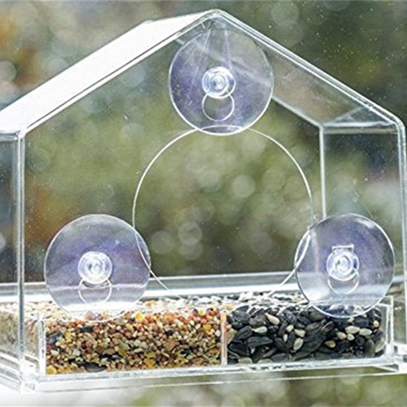 Bird’s Transparent Outdoor Feeder