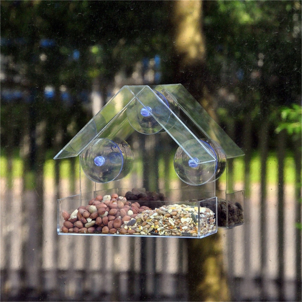 Bird’s Transparent Outdoor Feeder
