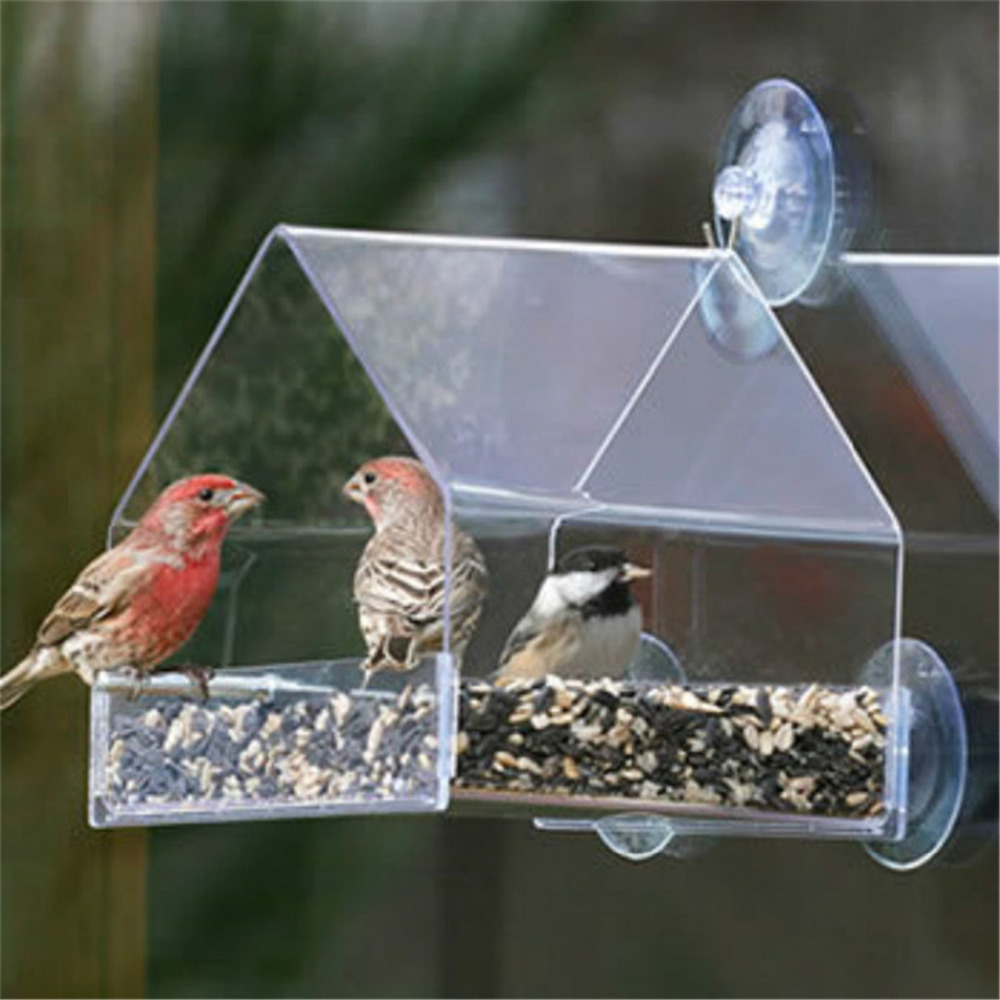 Bird’s Transparent Outdoor Feeder