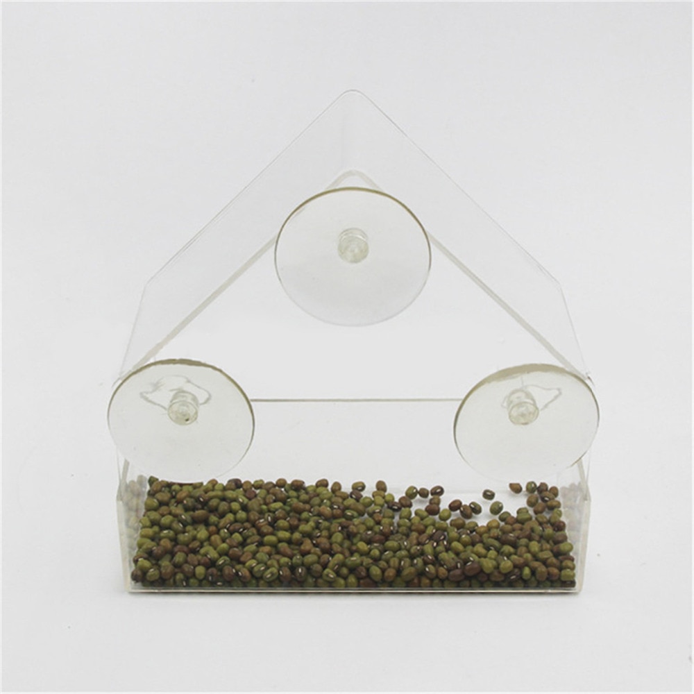 Bird’s Transparent Outdoor Feeder