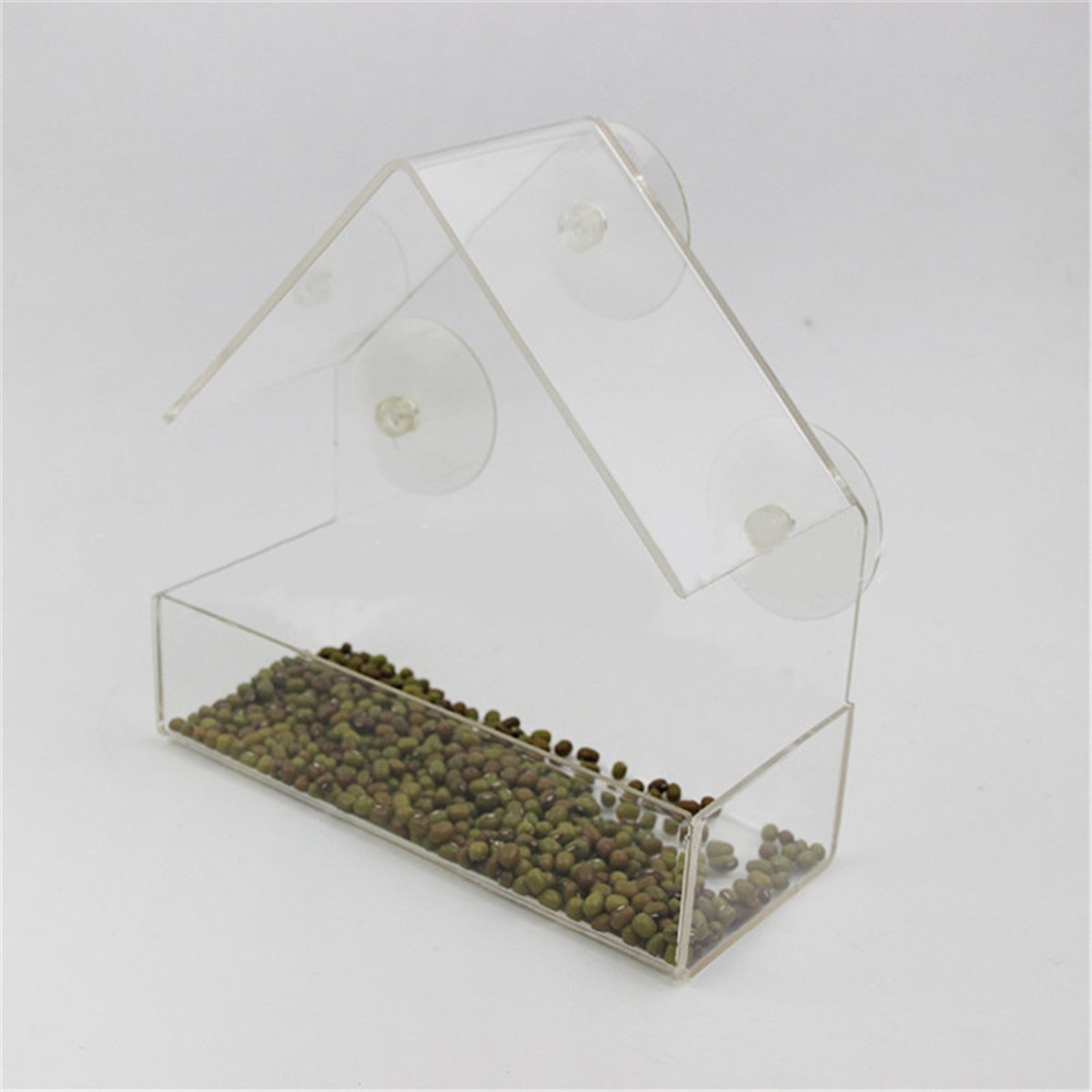 Bird’s Transparent Outdoor Feeder