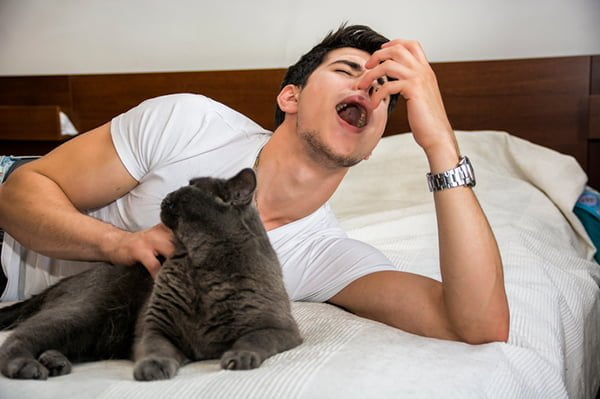 Man sneezing because of cat